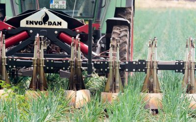 Le brûleur en ligne est un succès pour le contrôle des mauvaises herbes dans les champs d’oignons