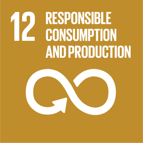 un icon 12 responsible consumption and production envo dan denmark