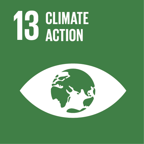 l'icône 13 de l'onu pour l'action climatique envo dan le danemark